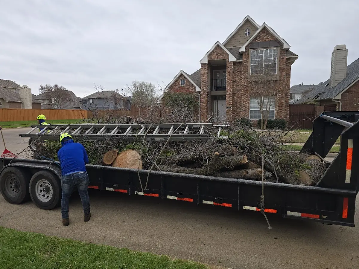 Expert Tree Pest Control with proper safety equipment in Lithia Springs
